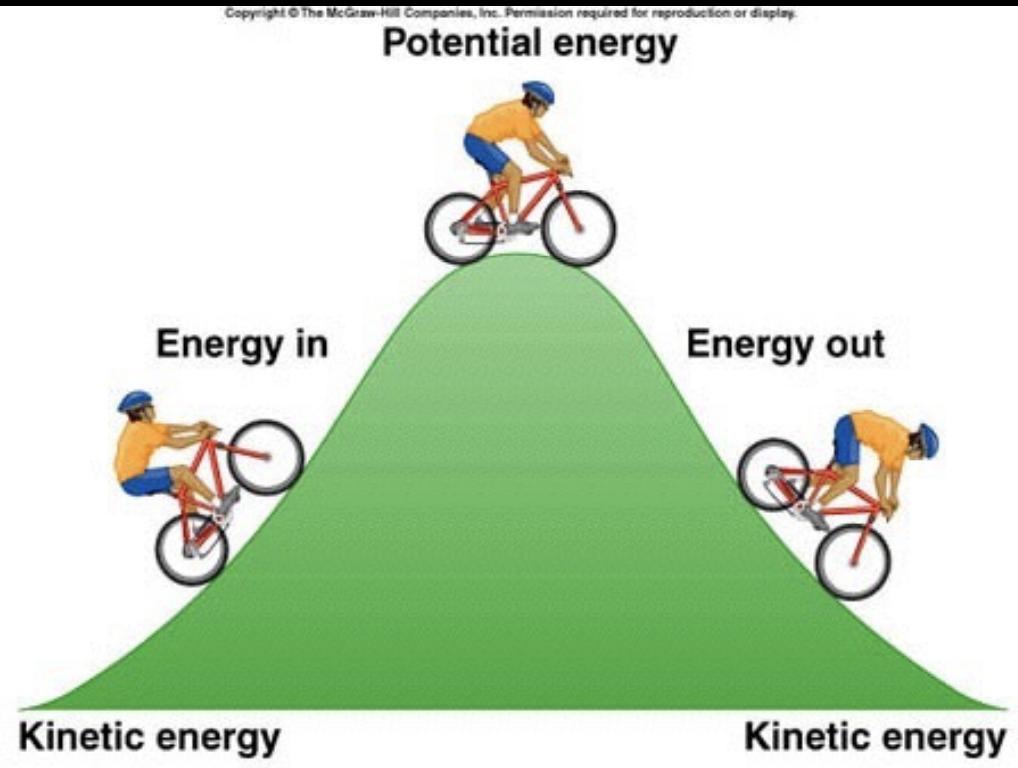 MOVEMENT OF ENERGY Energy cannot be