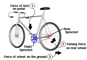 A Bike is an example of a complex mechanical system Chains and sprockets, Hand brakes and cables Pedals To move