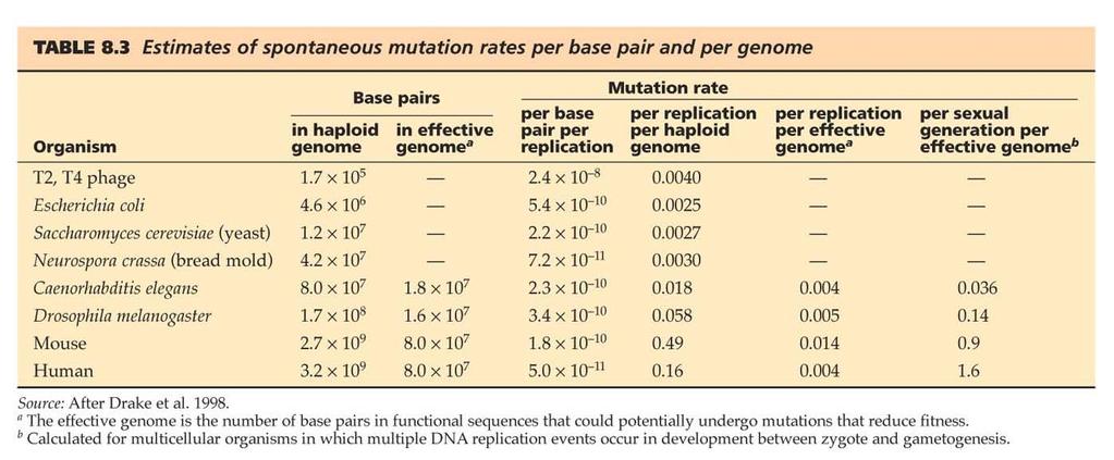 Mutation Rates