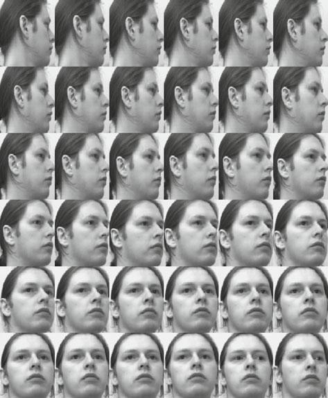 3.2. ANALIZA GLAVNIH KOMPONENTI - PCA Srd an Lazendić Rastojanje ulazne slike Z od prostora lica S d računamo kao d 1 = Z (z F + X). 3. Prepoznavanje lica.
