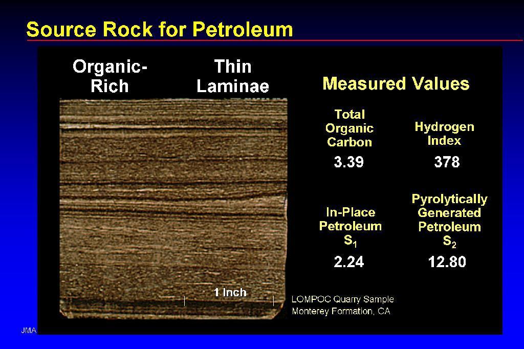 Source Rock Black Shale Must contain an abundance of organic matter.