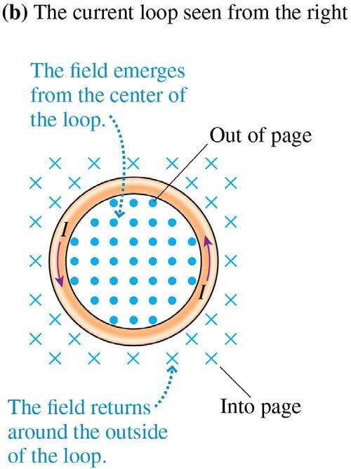 The Magnetic Field of a
