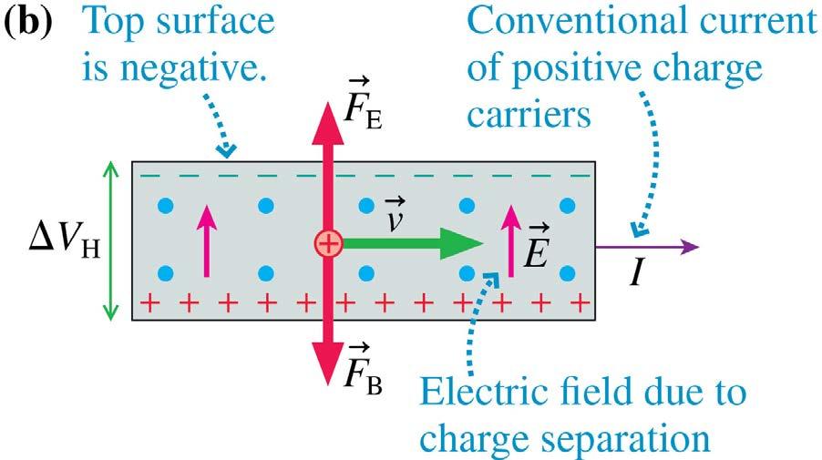 The Hall Effect If the charge carriers are positive, the magnetic force pushes these positive charges down, creating an excess positive charge on the