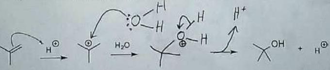 o Halogenation: The addition of a halogen (Group 17 on periodic table, Cl, Br, etc) o Hydration: Addition of water Requires a catalyst (dil.