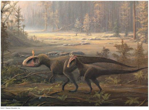for example: The emergence of terrestrial vertebrates The impact of mass extinctions The origin of flight in birds Lectures by Erin Barley Kathleen Fitzpatrick Figure 25.1 Figure 25.
