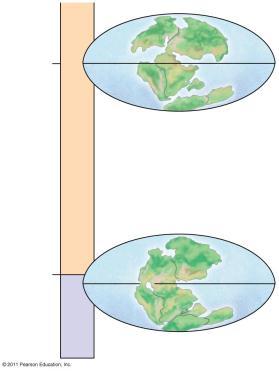 Formation of the supercontinent Pangaea about 25 million years ago had many effects A deepening of ocean basins A reduction