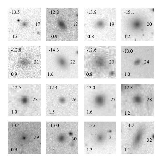 Dwarf ellipticals exist in clusters and morphologically appear similar to Local Group dwarf ellipticals Discovered in 1950s by G.