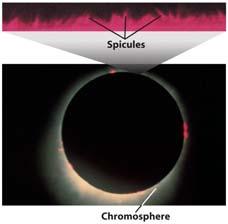 in the photosphere produces granules More Convection The Chromosphere -