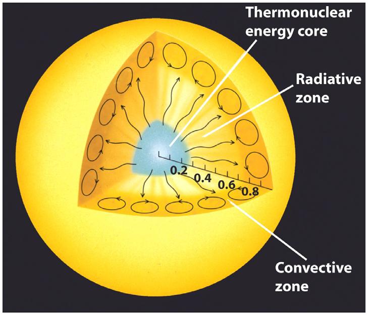 A theoretical model of the Sun shows how energy gets from its center to its surface Hydrogen fusion takes place in a core extending from the Sun s center to about 0.