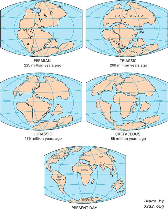 Pangaea evolution The Pangaea broke up, forming the continents.