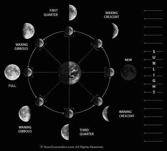 Comprehension Read the passage below and answer the questions that follow: It's probably easiest to understand the moon cycle in this order: new moon and full moon, first quarter and third quarter,