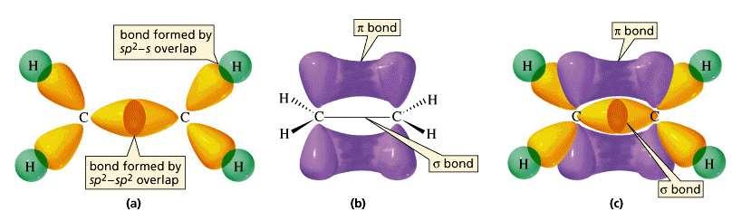 The diagram shows that when two sp 2 hybridised carbon atoms form a bond with each other the do so by end-on overlap a sigma bond the four