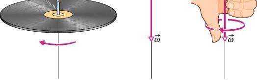 Angular Velocity Vector For rotations of rigid bodies about a fixed axis we can describe accurately the angular velocity by asigning an algebraic sigh.