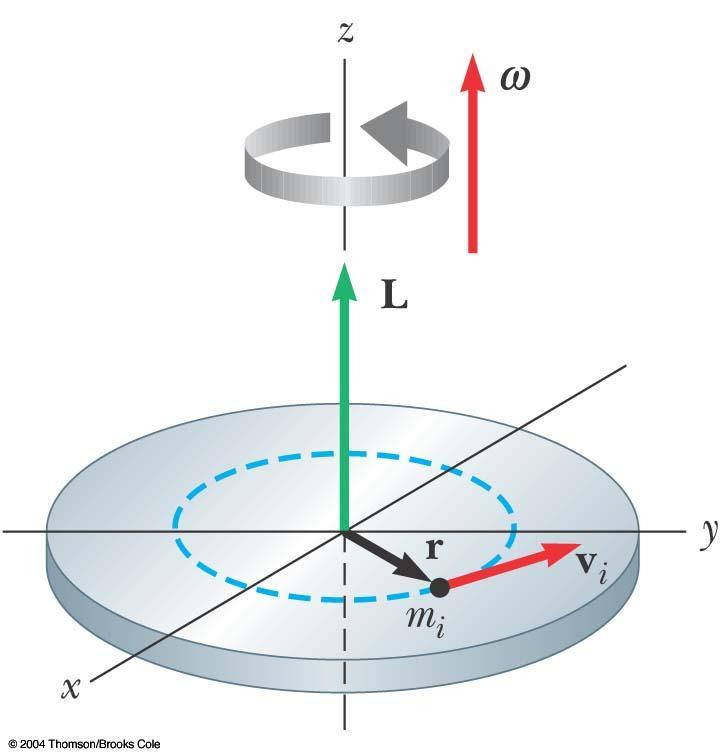 Angular Momentum of a Rotating Rigid Object Each particle of the object rotates in the xy plane about the z axis with