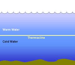 Thermocline: layer under the mixed layer temperature rapidly