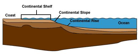 Continental Rise Gently sloping region between the continental slope and the ocean basin Deposition of sediment