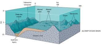 Ocean Basins Features of the floor of the deep sea include Abyssal plains