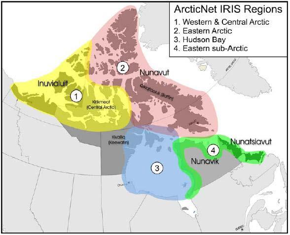 ArcticNet goals and the IRIS Framework ArcticNet is in the process of developing impact assessments, tools which can be used to create strategies and policies to address climate change impacts and