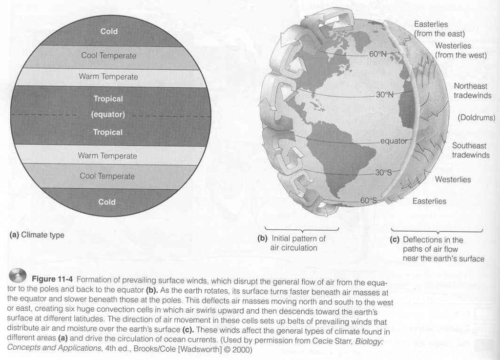 Prevailing Winds Earth Rotates Miller, 2003 (see Miller 2005, Fig.