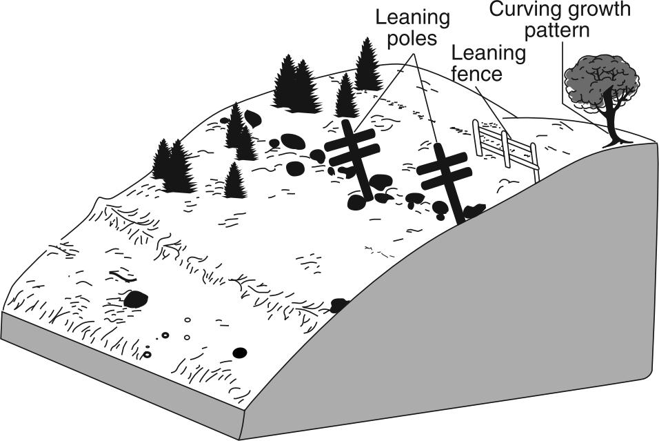55. The diagram below shows the surface features of a landscape. 58. The generalized cross section below shows the sedimentary rock layers at Niagara Falls in western New York State.