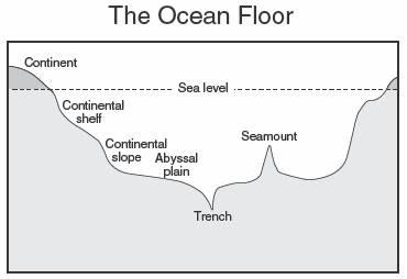 49. At which ocean feature would the greatest amount of water pressure be exerted? A. Continental shelf B. Continental slope C. Abyssal plain D.