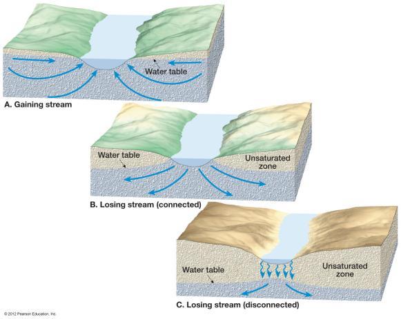 The Water Table Variations in the water table cont.