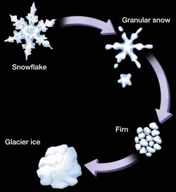 Transformation of snow to glacial ice Movement of glacial ice Movement is referred to as flow Two basic types: Plastic flow Occurs within the ice