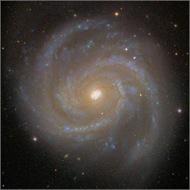 In general, there are two types of galaxies: s and ellipticals (a third category, irregulars, includes everything