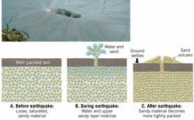 Soft sediments amplify seismic waves more than solid