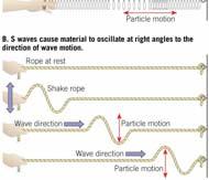 surface Body waves travel