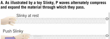 Primary (P) waves are