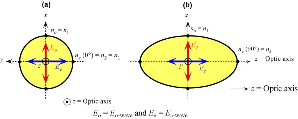 Wave Propagation in a Uniaxial Crystal E o = E o -wave and E e = E e -wave (a)