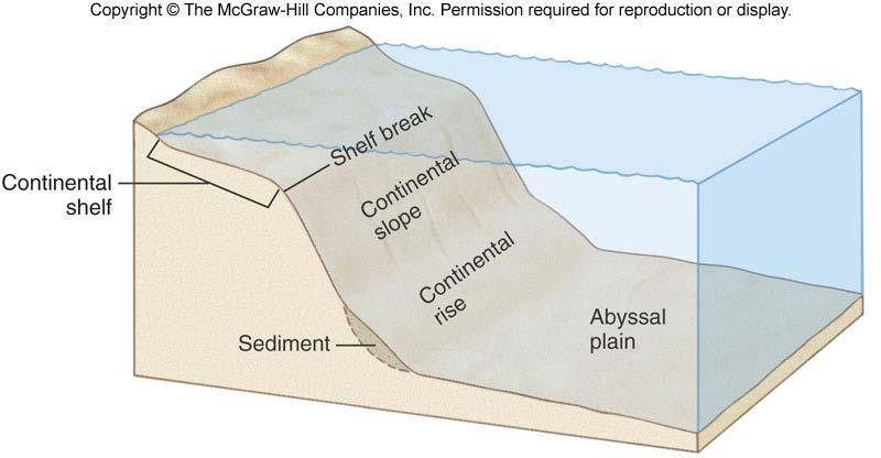 Continental Shelves Processes affecting continental shelves 1. Glaciation 2.