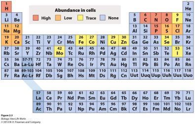 READING THE PERIODIC TABLE The periodic table of elements organizes all chemical