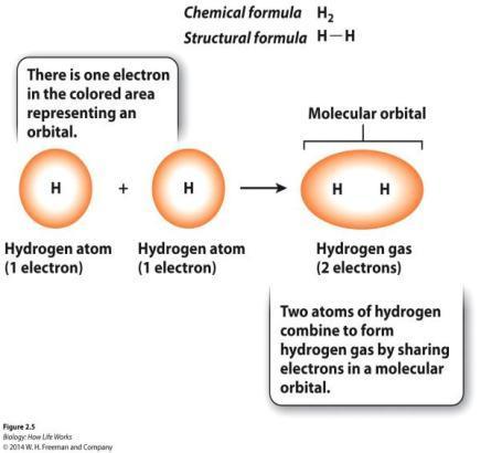 1) COVALENT BOND A covalent bond is formed when two atoms share electrons. The sharing of electrons occurs in the outermost orbitals of the atoms.