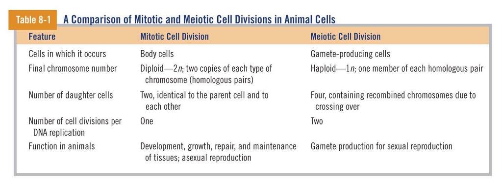 8.6 How Does Meiotic Cell