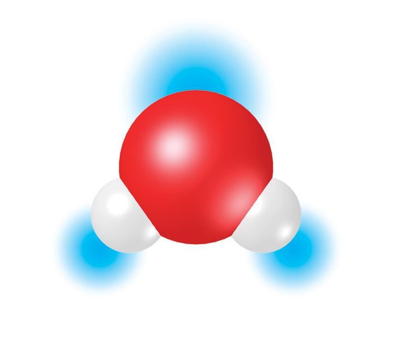 Life depends on hydrogen bonds + H _ O H + in water. Water is a polar molecule.