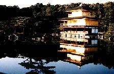 Shintoists build shrines dedicated to specific kami.