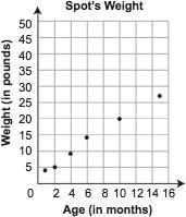 47 John recorded the weight of his dog Spot at different ages as shown in the scatter plot below Based on the line of best fit, what will be Spot s weight after 18 months?