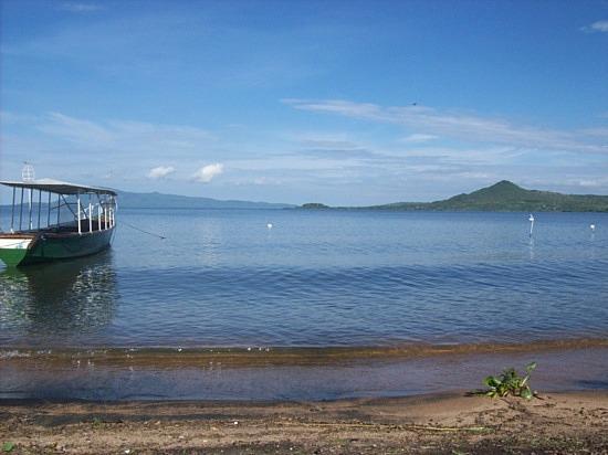 INTRODUCED FISH Lake Victoria Located in East Africa Used to house over 400 different Fish species Harbors one of