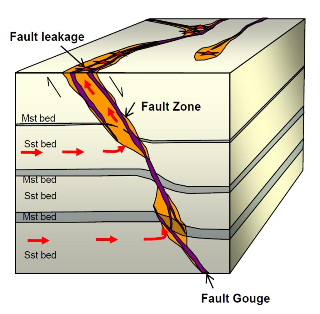 Fault Zone Architecture Fault zones are 4- dimensional volumes of deformed rock with highly anisotropic and heterogeneous properties that evolve through time.