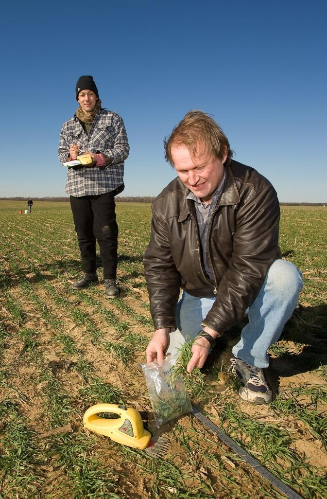 How Weathering & Time Affects Soil Age Minerals continue to break down, and clay is leached