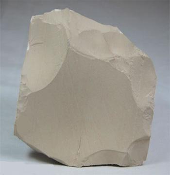contain fragments of other rocks *LIMESTONE Texture = bioclastic Grain size = microscopic to