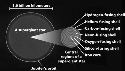 In the last stages of its life, a high-mass star has an iron-rich core surrounded by concentric shells hosting the various thermonuclear reactions The sequence of thermonuclear reactions stops