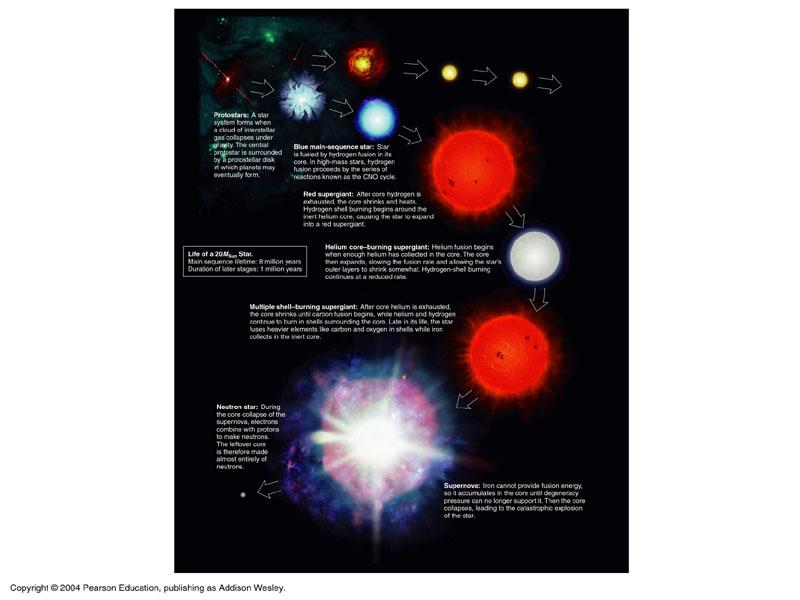 Life of a low (~1 M Sun ) mass star Life of a high (>8 M Sun ) mass star white dwarf