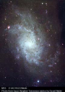 NGC 1232: SBc I NGC