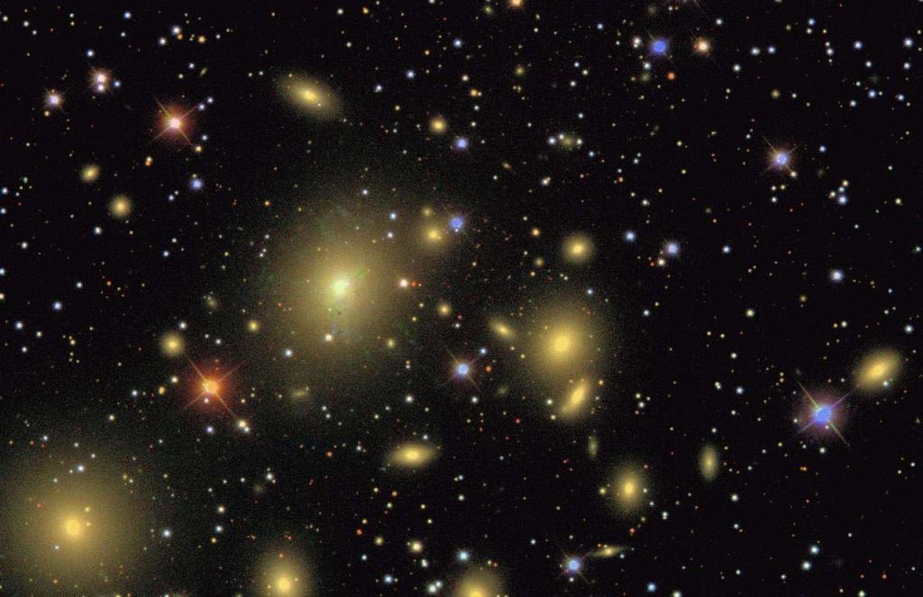The Perseus Cluster cluster galaxies have E or S0 morphology