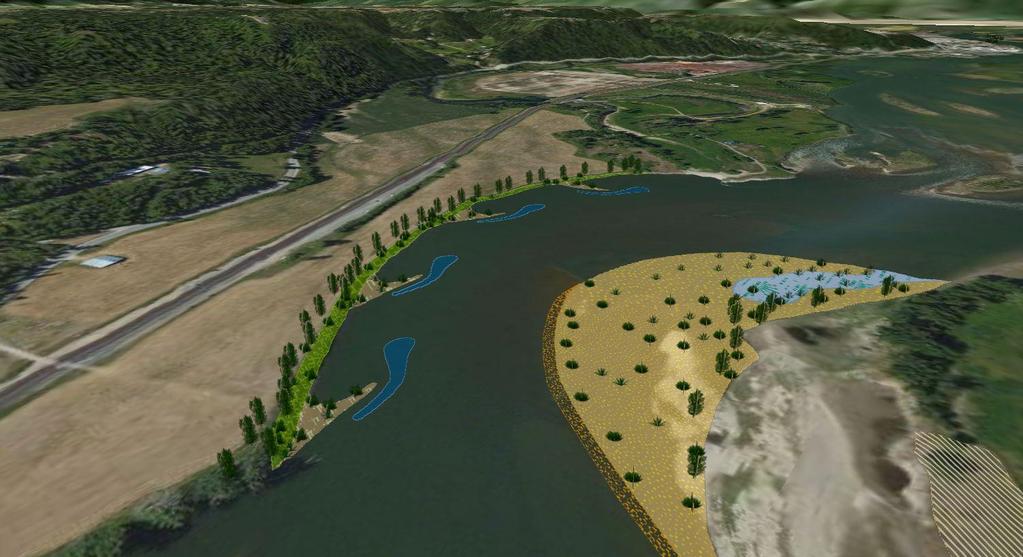 Middle Meander Project Area Proposed condition Improved resistance to bank erosion Reduce
