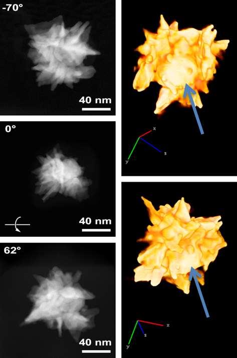 Figure S7. HAADF-STEM micrographs of an Au Janus star, used for tomographic reconstruction acquired at different angles.