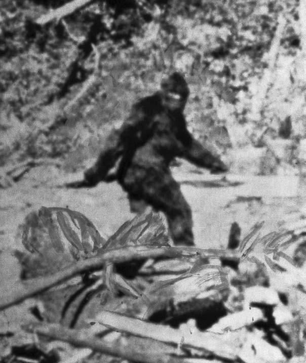 KEY WASHINGTON represents one Bigfoot sighting N OREGON UNITED STATES Bigfoot In remote areas of the Pacific Northwest, Native Americans have told stories for hundreds of years of having encountered